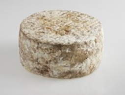 Cheeses of the world - Tomme de brebis Corse